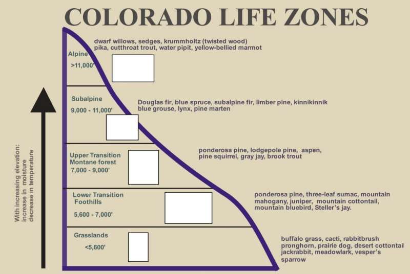 A similar graphic as above, this describes the life zones or growth zones in Colorado relative to a specified range of elevations that are described by Foothills, Montane, Subalpine, and Alpine. Feature engineering helped to group the elevation variable for exploring the data relationships. Image source: https://static.colostate.edu/client-files/csfs/pdfs/894651_08FrstHlth_www.pdf