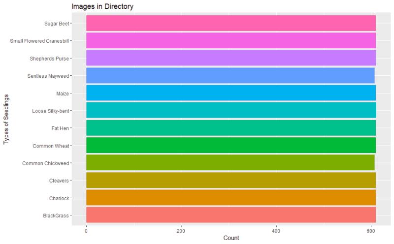 Augmented data to bring each class up in numbers so there is more data to train the models.