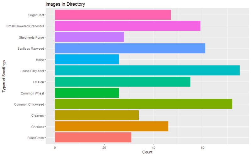 Validation and Test Set Class Proportions. Randomized samples of 10% Validation 10% Test